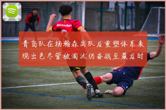 青岛队在杨瀚森离队后重塑体系表现出色尽管被淘汰仍奋战至最后时刻